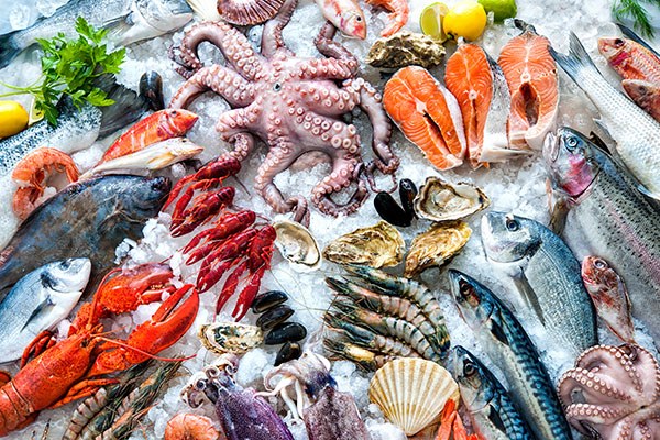 Frutos do Mar Processados ​​– Conveniência e Segurança
