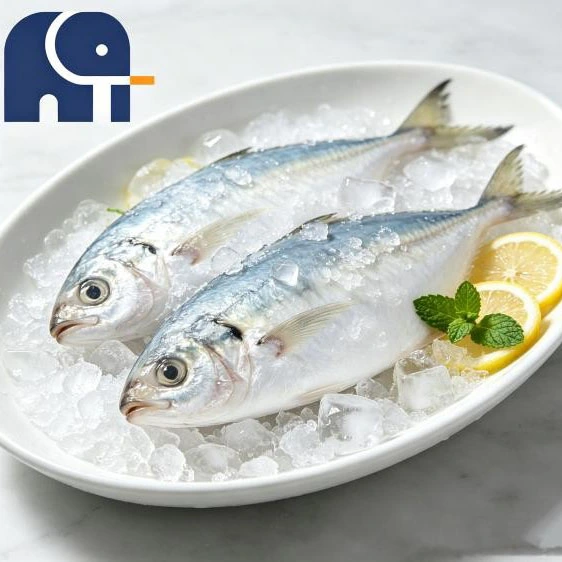 Cavala Indiana Fresca Processada