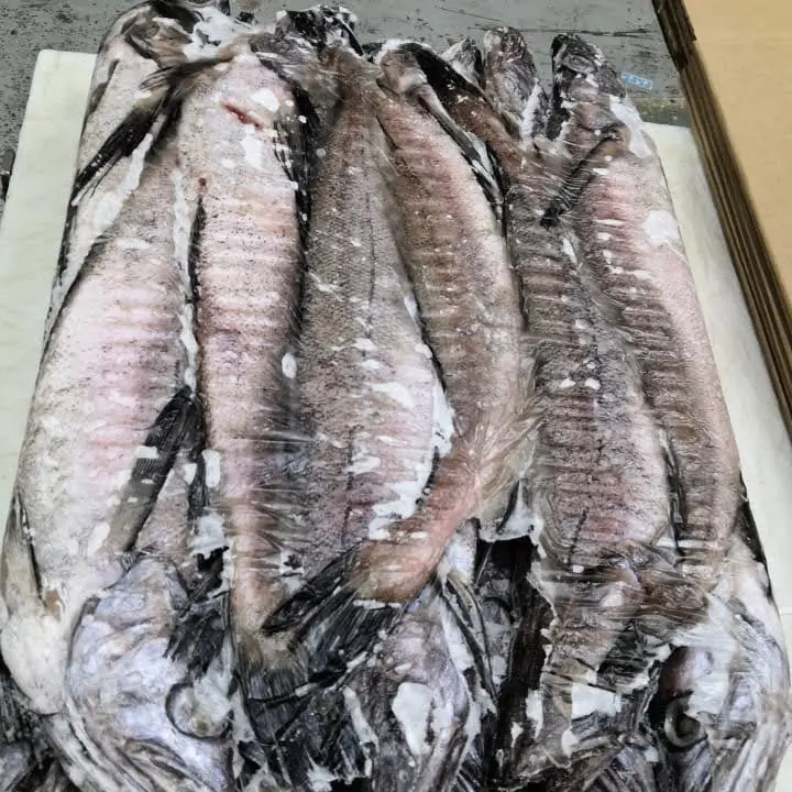 Pescada Congelada Redondo Inteiro