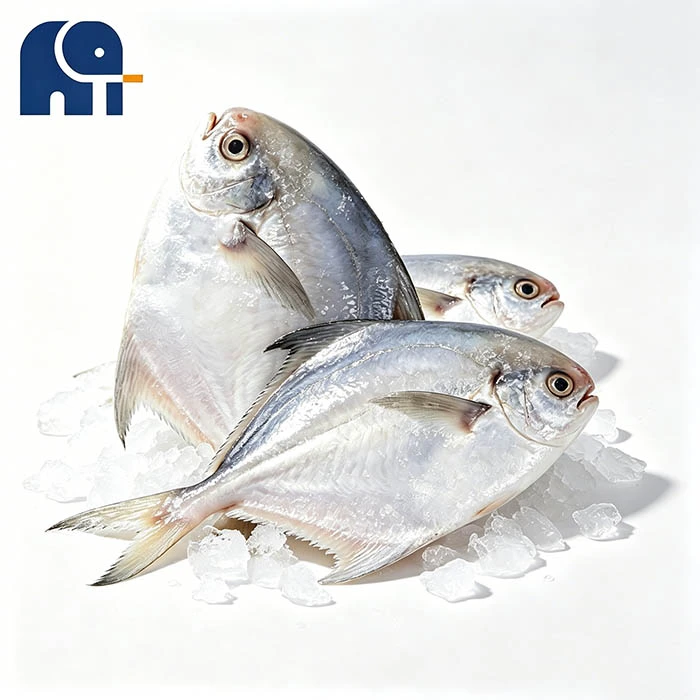 IQF com vidro Pomfret Branco IQF com vidro Pomfret Branco