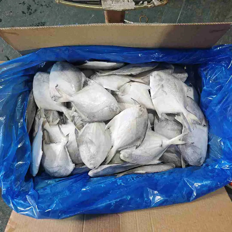 Caixa Premium Pomfret Branco Rodada Inteira