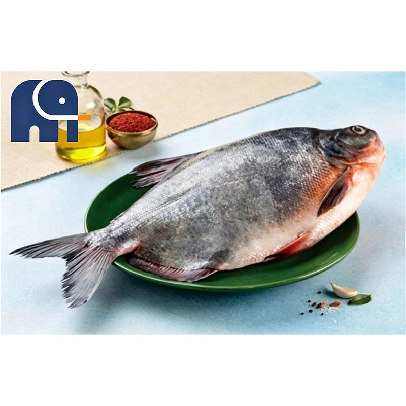 Pomfret Vermelho Congelado Premium Rodada Inteira