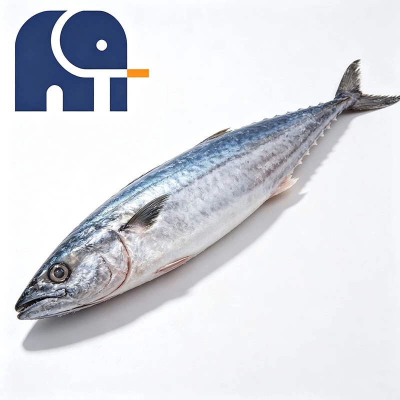 Cavala Espanhola Congelada Premium